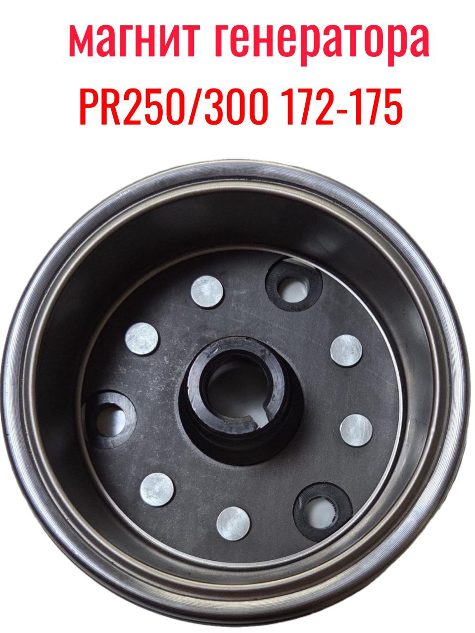 Ротор генератора (магнит) PR250/300 172-175 мотор